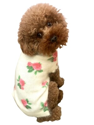 Sweet Rose Mock Neck, Cotton, Ivory