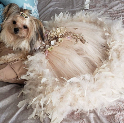 Tutus Party Dresses