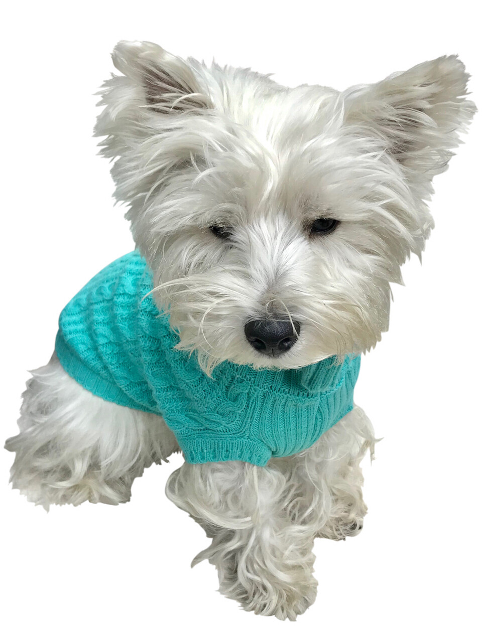 Scottish Cable Knit Sweater, Light Turquoise