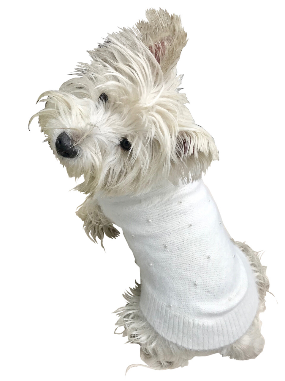 Pearly Girl Sweater, Ivory