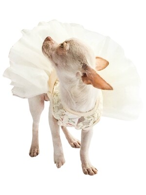 Fufu Tutu, Ivory Lace