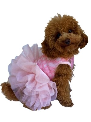 Fufu Tutu, Pink Lace