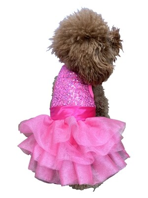 Fufu Tutu, Zsa Zsa Hot Pink