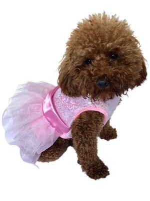 Fufu Tutu, Zsa Zsa Pink