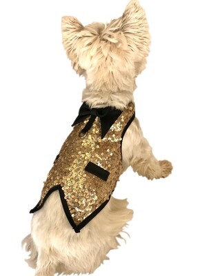 Gentlemen&#39;s Tuxedo, Lt. Gold Sequins