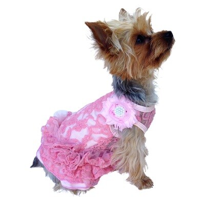 Tutu, Garden Party, Pink Lace