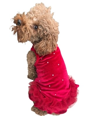 Tutu, Velvet Twinkle, Red