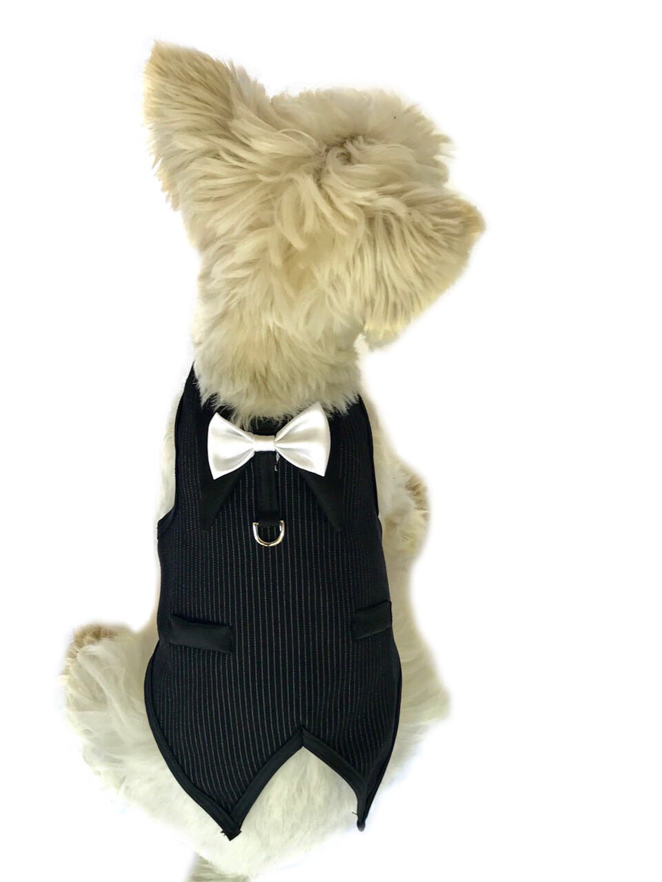 The Dogfather PinStripes Tuxedo