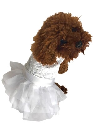 White Wedding Fufu Tutu