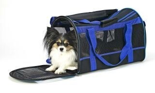 Spot Ethical Carryall - Blue