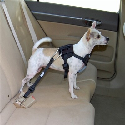 Bergan Dog Auto Harness With Tether