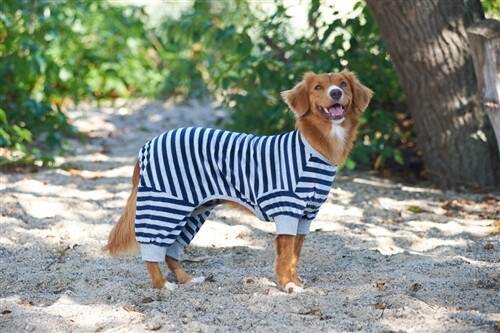 Fashion Pet Striped Pajamas - Blue