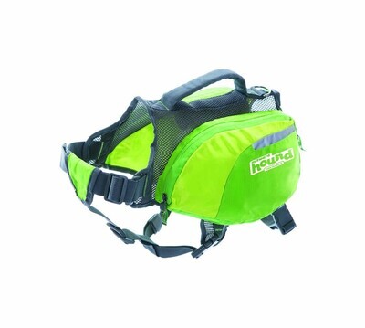 Outward Hound Daypak Dog Backpack - Green
