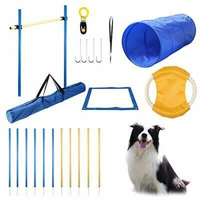 Dog Outdoor Equipment