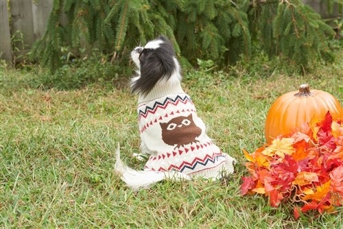 Fashion Pet Owl Sweater - Cream