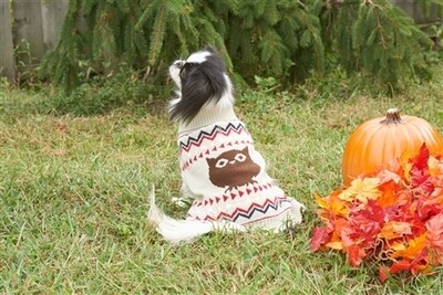 Fashion Pet Owl Sweater - Cream