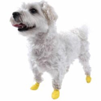 Pawz Dog Boots - Yellow