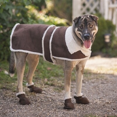 Fashion Pet Shearling Coat - Brown