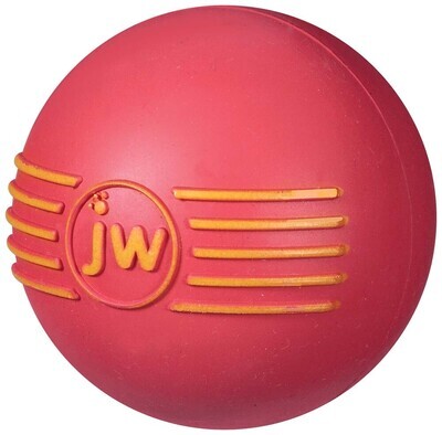 Jw Pet Isqueak Ball Dog Toy Assorted