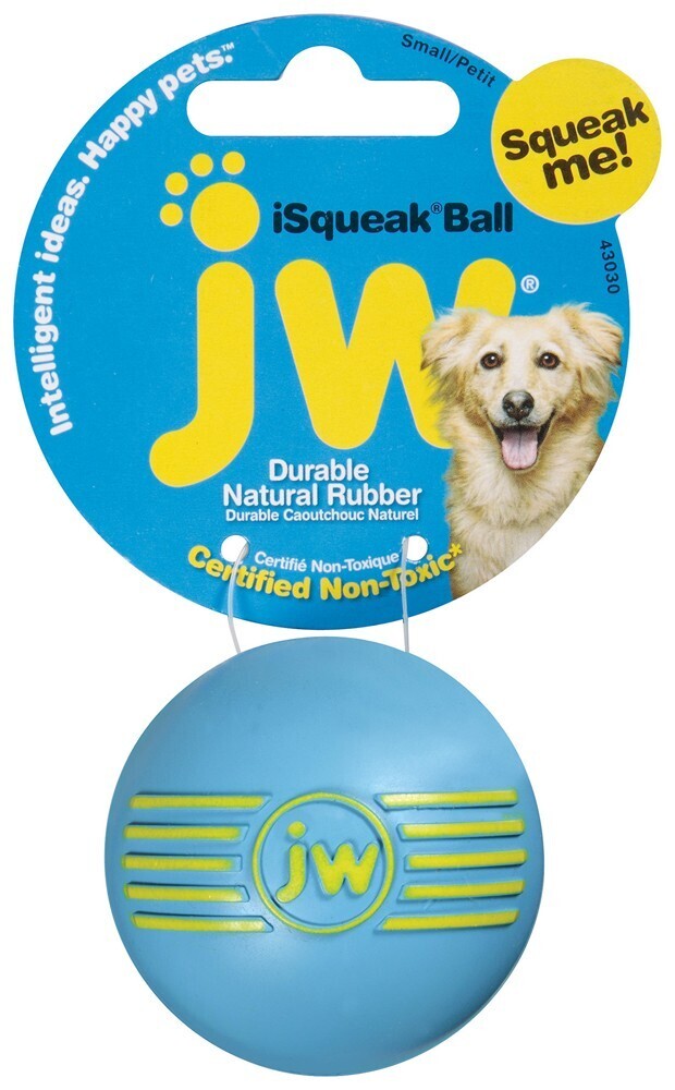 Jw Pet Isqueak Ball Dog Toy Assorted, Size: S
