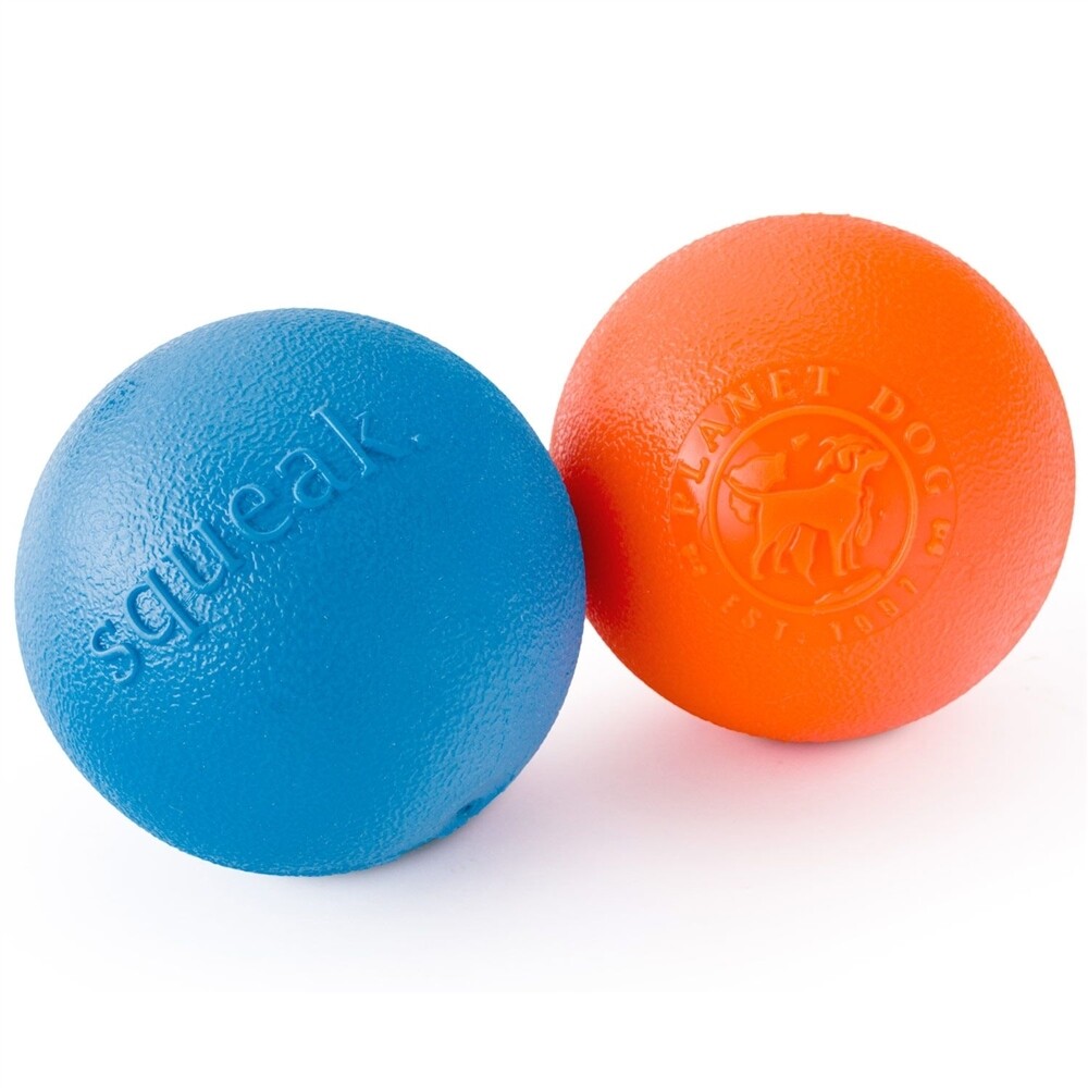 Outward Hound Squeak Ball Dog Toy