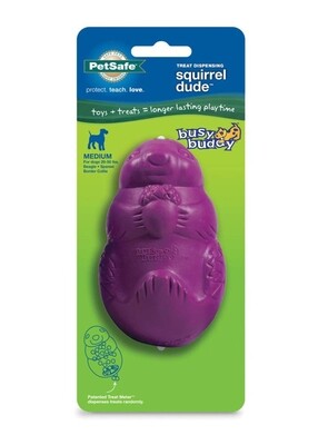 Petsafe Petsafe Busy Buddy Dog Toy Squirrel Dude - Purple