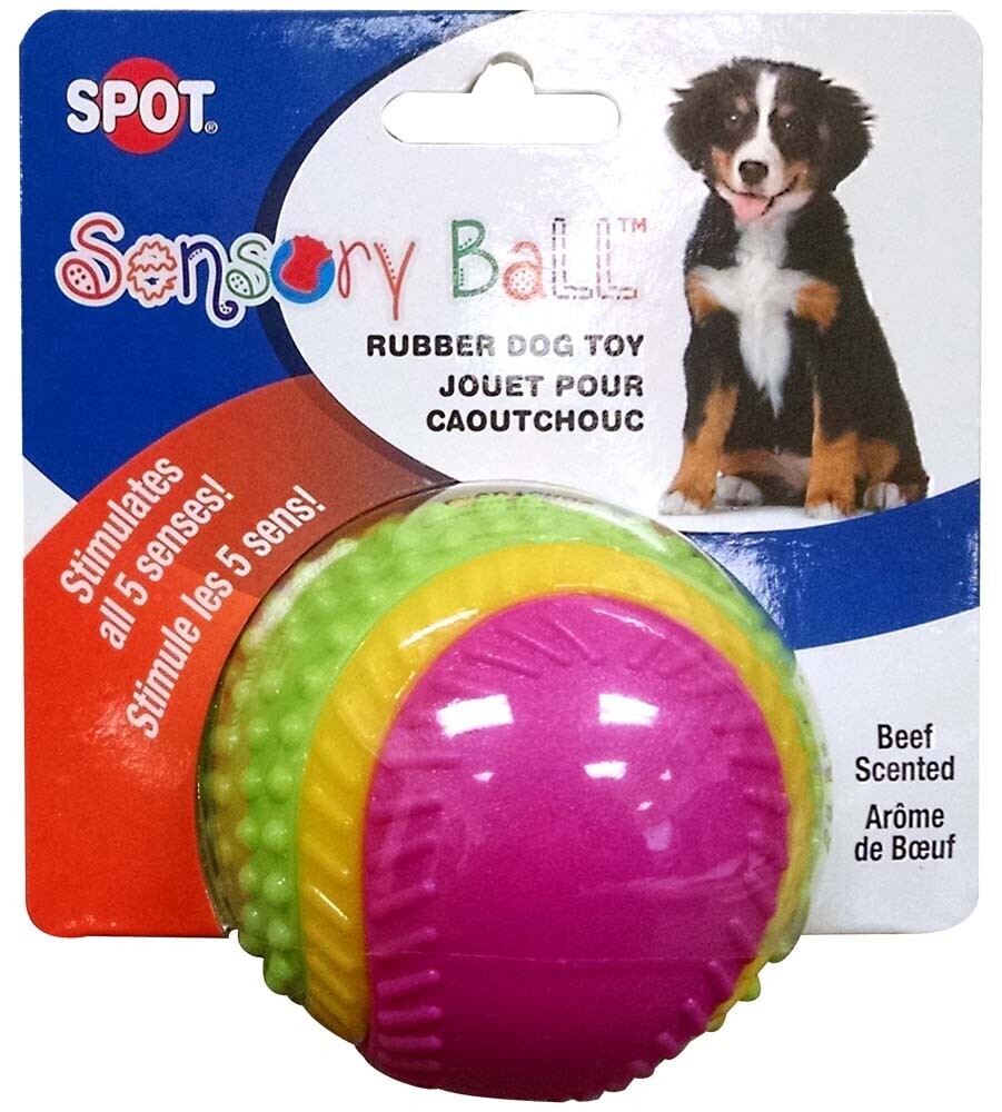 Spot Sensory Ball Dog Toy Assorted