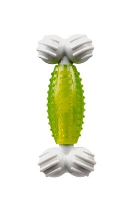 Multipet Canine Clean Spearmint Bone