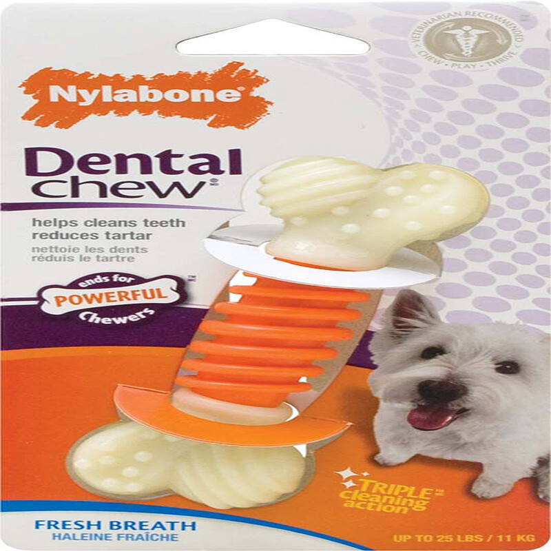 Nylabone Pro Action Dental Power Chew Durable Dog Toy Bacon Flavor, Size: S-25 Lb