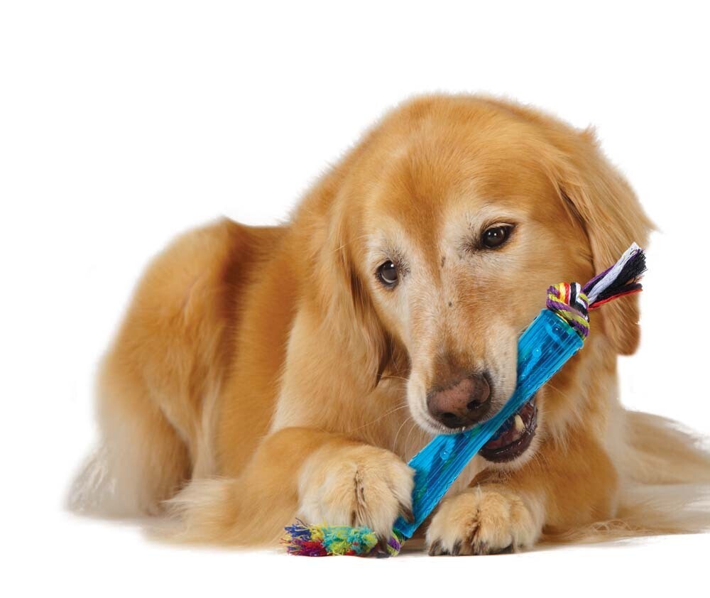 Petstages Orka Stick Dog Toy One Size