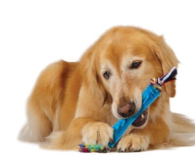 Petstages Orka Stick Dog Toy One Size