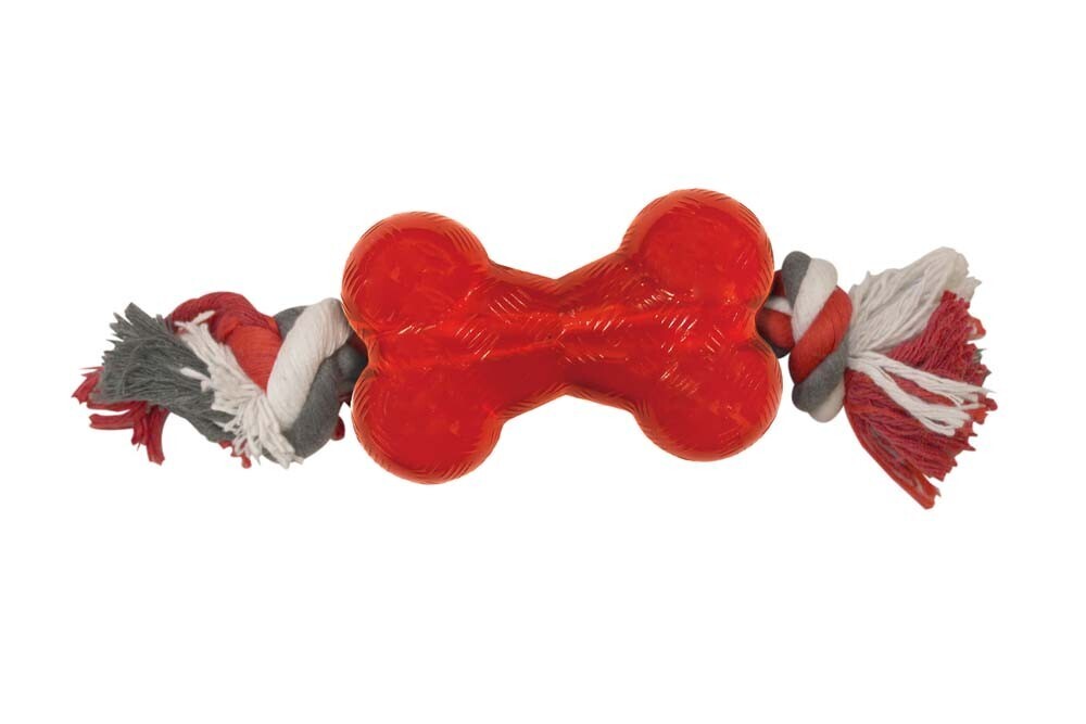 Spot Play Strong Bone With Rope Rope With Bone Multi-Color
