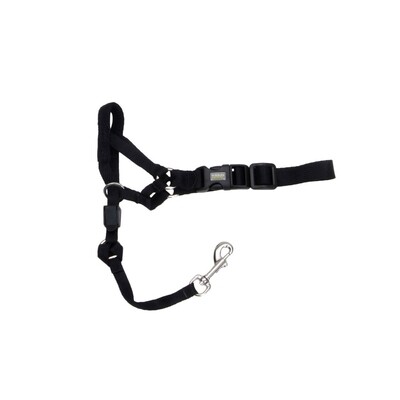 Coastal Products Walk n Train! Dog Head Halter