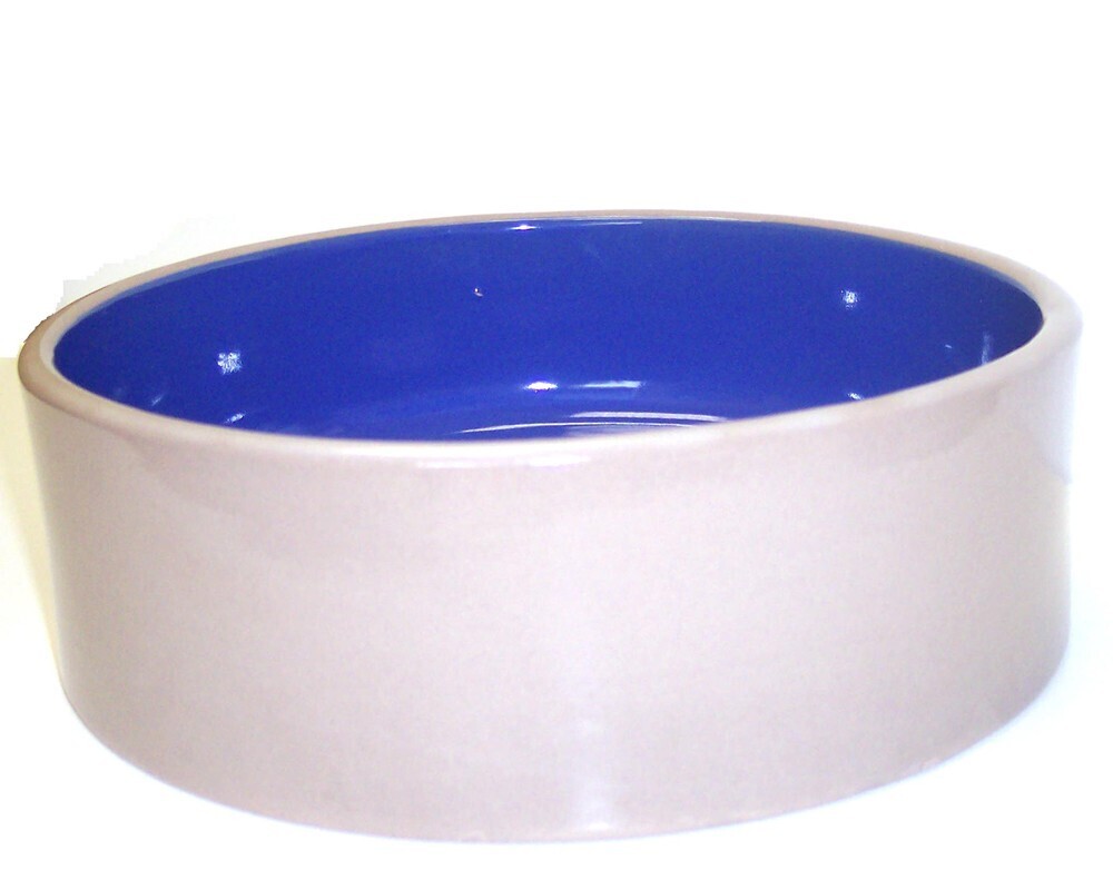 Spot Standard Crock Dog Bowl Blue