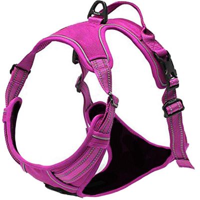 Venture Paw Pull Control Dog Harness - Wild Raspberry