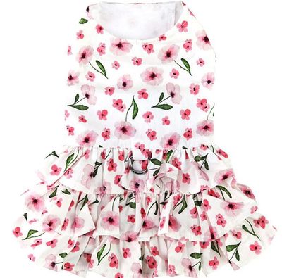 Spring Wildflower Dog Dress with Matching Leash