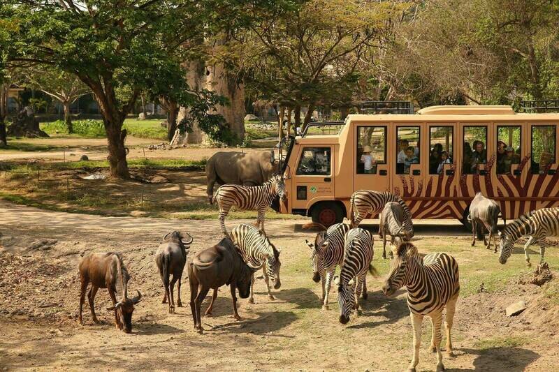 Bali Safari Park