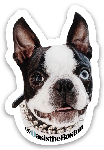 Oasis The Boston Official Sticker