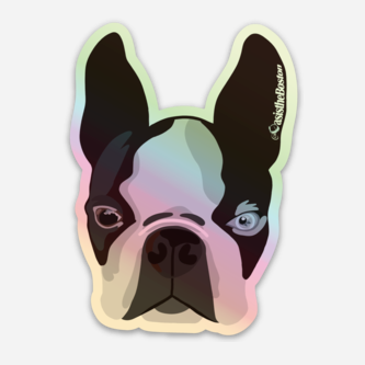 LIMITED EDITION HolOgraphic Oasis The Boston Illustration Sticker