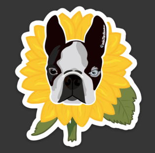 Oasis The Boston: BostSUN Flower Magnet