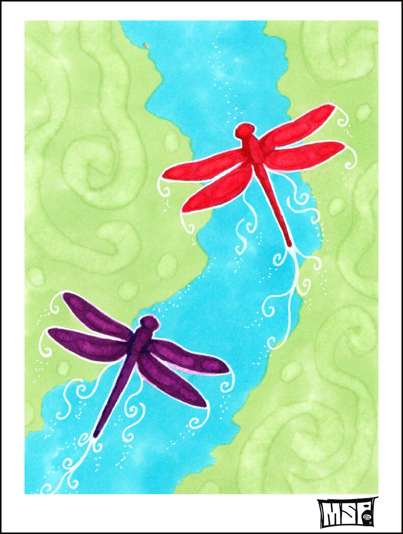 Dragonflies - Boxed Cards