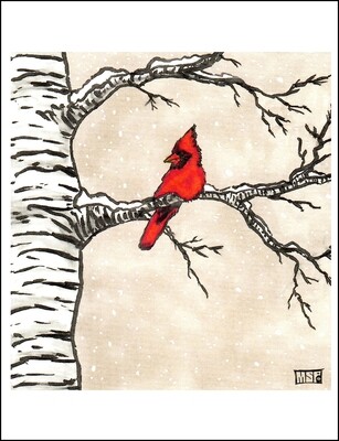 Cardinal On Birch - Boxed Cards