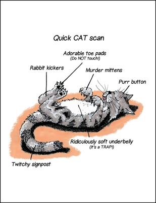 Quick Cat Scan - Single Card