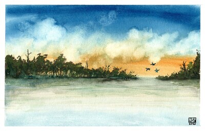 Ducks in Flight - Print