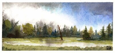 Sandwich Bog - Print