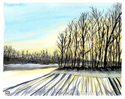 Sunrise Through Trees - Print