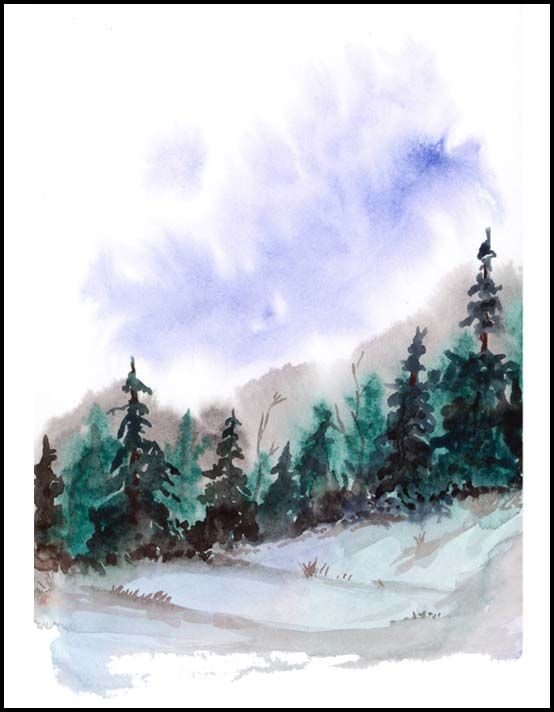 Winter Woods - Boxed Cards