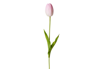 15" Light Pink Real Touch Tulip Stem (single)