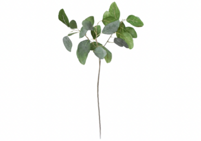 24" Faux Eucalyptus Leaf Stem