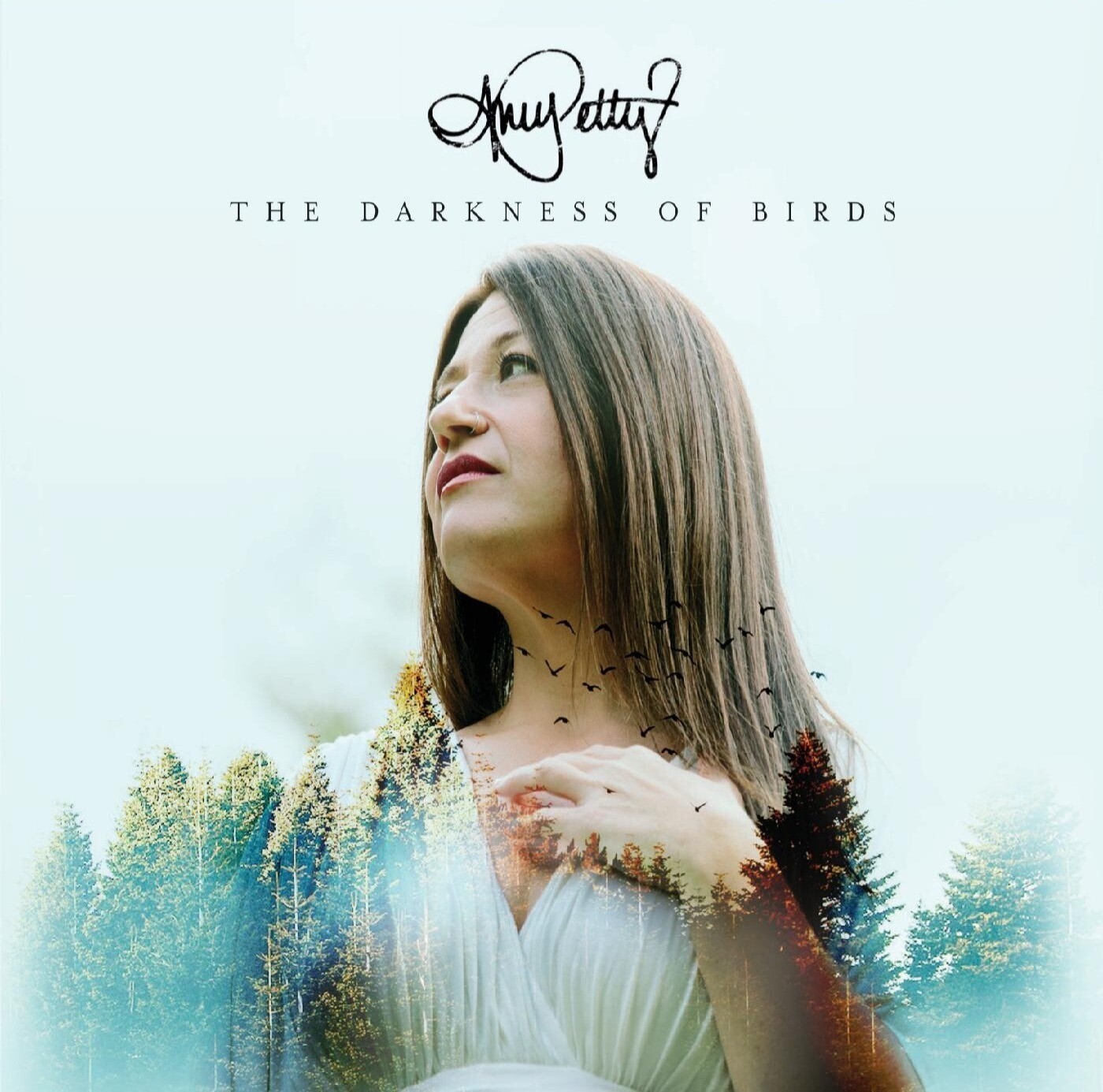 "The Darkness of Birds" CD